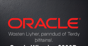 Oracle Wins $300B OpenAI Cloud Deal, Shaking Up Tech Oracle Wins $300B OpenAI Cloud Deal, Shaking Up Tech