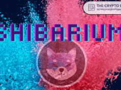 Exclusive: Shibarium’s $2.4M Hack Exposed – Critical Details Exclusive: Shibarium's $2.4M Hack Exposed - Critical Details