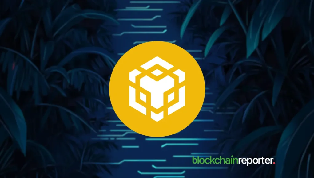 Pilot AI and Zoro Partner to Build AI Trading on BNB Chain