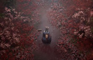 Optimize Silent Hill F for Low-End GPUs: Performance Guide Optimize Silent Hill F for Low-End GPUs: Performance Guide