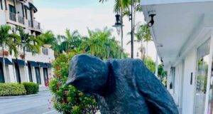 Ledger Finds Tangem Card Flaw Enabling Brute-Force Attacks Ledger Finds Tangem Card Flaw Enabling Brute-Force Attacks