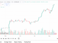 Master Ethereum Gas Fees: Volatility Stats & Savings for 2025 Master Ethereum Gas Fees: Volatility Stats & Savings for 2025