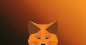 MetaMask Adds Native Bitcoin Support MetaMask Adds Native Bitcoin Support