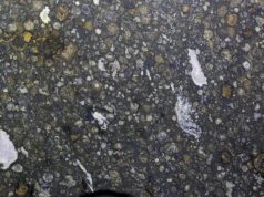 LifeTracer: New AI Seeks Life’s Traces Beyond Known Forms LifeTracer: New AI Seeks Life's Traces Beyond Known Forms