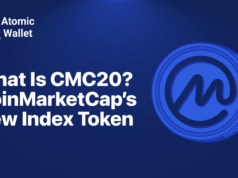 CMC20 Index Token Simplifies Crypto Portfolio Management CMC20 Index Token Simplifies Crypto Portfolio Management
