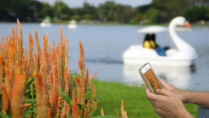 5 iPhone Shortcuts to Automate Your Photo Workflow