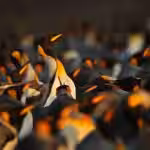 Open Source Repos Face Crisis From 10T Downloads