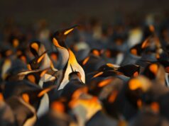 Open Source Repos Face Crisis From 10T Downloads Open Source Repos Face Crisis From 10T Downloads