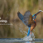 Google Cloud and Accenture Open AI Center for Regulated Industries