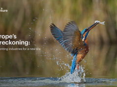 Google Cloud and Accenture Open AI Center for Regulated Industries Google Cloud and Accenture Open AI Center for Regulated Industries