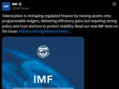 IMF Flags Tokenization Risks to Global Financial Stability IMF Flags Tokenization Risks to Global Financial Stability