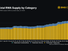 BNB Chain’s $3.6B RWA growth fails to boost revenue BNB Chain's $3.6B RWA growth fails to boost revenue