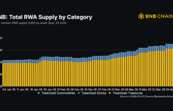 BNB Chain’s $3.6B RWA growth fails to boost revenue BNB Chain's $3.6B RWA growth fails to boost revenue