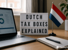 Dutch Tax Boxes Explained for Newcomers Dutch Tax Boxes Explained for Newcomers