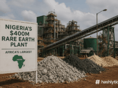 Nigeria’s $400M Rare Earth Plant: Africa’s Largest Nigeria's $400M Rare Earth Plant: Africa's Largest