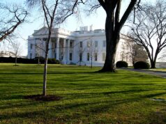 US Government Seizes Control Over AI Model Releases US Government Seizes Control Over AI Model Releases