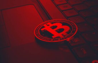 Crafting Crypto White Papers: Essential Sections & MiCA Rules Crafting Crypto White Papers: Essential Sections & MiCA Rules