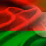 Belarus registers first two crypto banks for launch