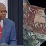 Kenya’s CBK Plans Switch to Cut Money Transfer Costs