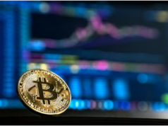 South Africa Proposes New Crypto Asset Regulations South Africa Proposes New Crypto Asset Regulations